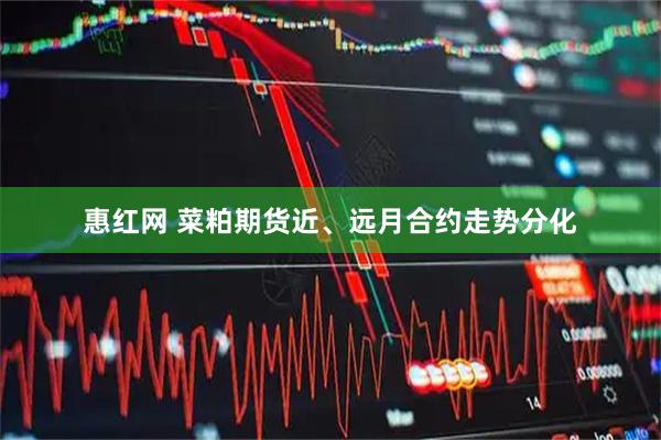 惠红网 菜粕期货近、远月合约走势分化