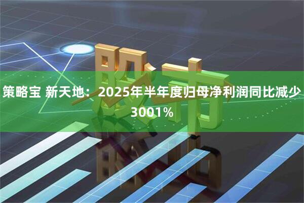 策略宝 新天地：2025年半年度归母净利润同比减少3001%