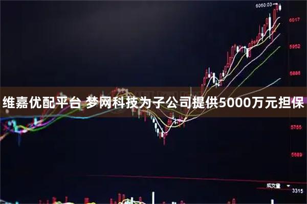 维嘉优配平台 梦网科技为子公司提供5000万元担保
